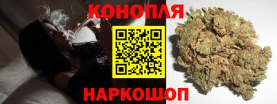 спайс Малгобек