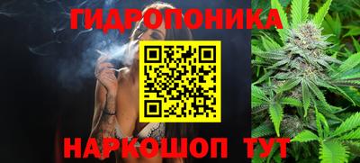 спайс Малгобек
