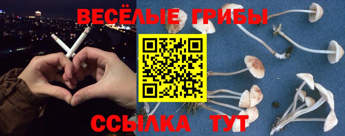 Галлюциногенные грибы Magic Shrooms  Псилоцибиновые грибы мицелий  Вичуга  Вход с VPN 
