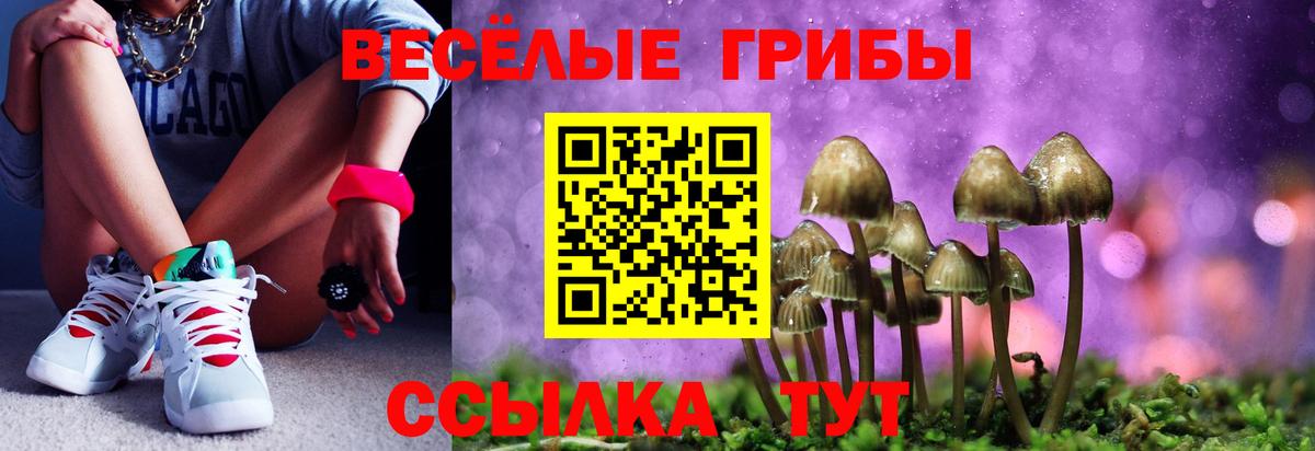 Галлюциногенные грибы Magic Shrooms Вичуга